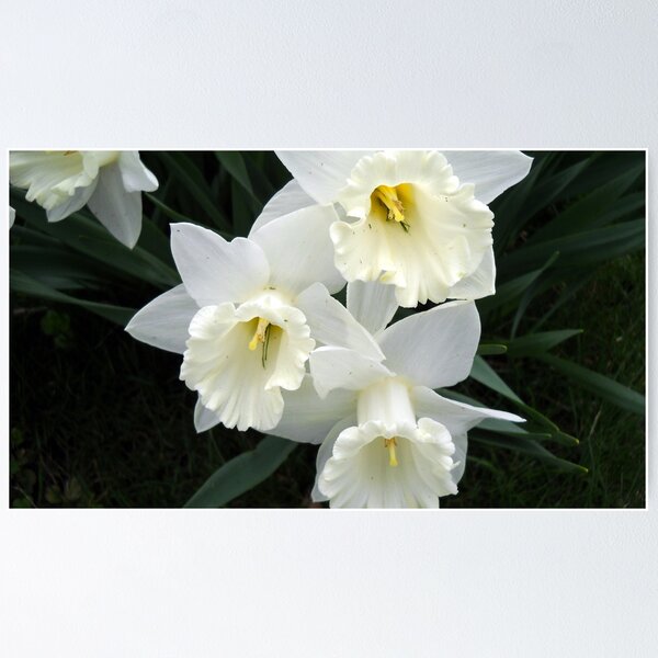 Item preview, ¡Oh, la belleza de todo!
Wilmington designed and sold by debbiedoda.