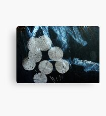 fruitful Canvas Print