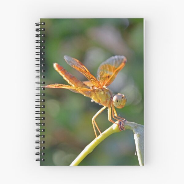Item preview, Resting Dragonfly  designed and sold by Cody  VanDyke.