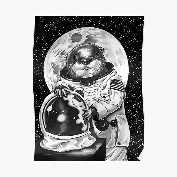 Otter Space Adventure! Poster