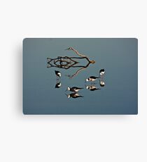 Four Black Winged Stilts Reflected Canvas Print