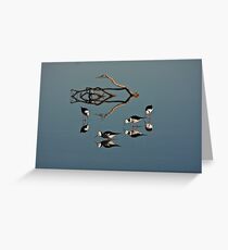 Four Black Winged Stilts Reflected Greeting Card