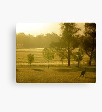 Australia Canvas Print