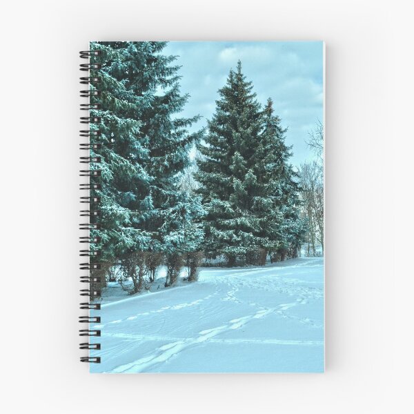Item preview, Winter park designed and sold by MariMagik.