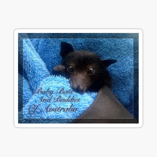 Item preview, Baby Bats and Buddies of Australia . designed and sold by BabyBats.