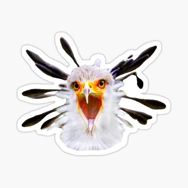 Item preview, Wow Secretary bird designed and sold by OwlOccasions.