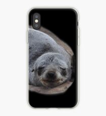 Kap-Pelz-Dichtungen, Namibia iPhone-Hülle & Cover