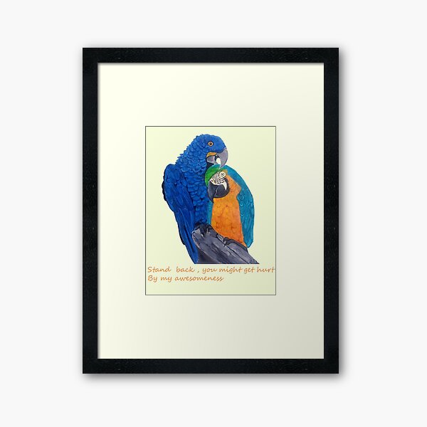 macaw Framed Art Print