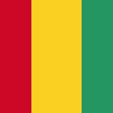 Aperçu de l'œuvre Drapeau de la Guinée de Shorlick