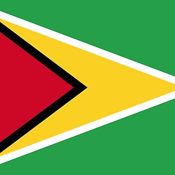 Aperçu de l'œuvre Drapeau de Guyana de Shorlick