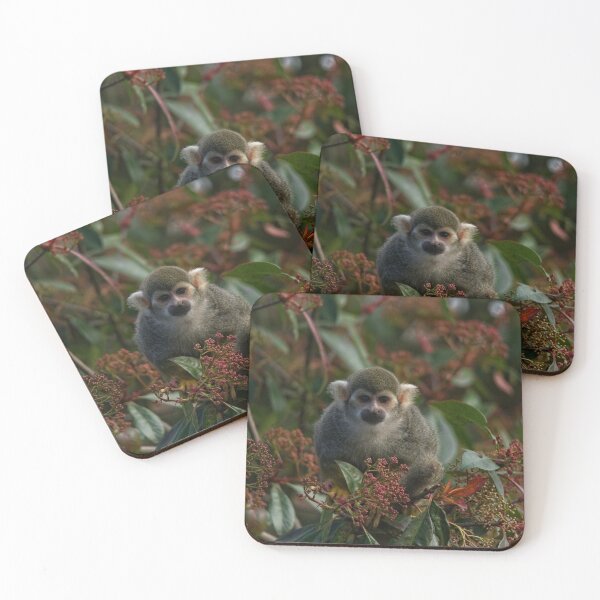 Item preview, Squirrel Monkey designed and sold by rawshutterbug.