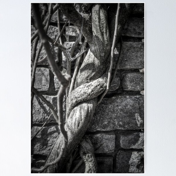 Item preview, The Serpent's Embrace designed and sold by Eric Scott Birdwhistell.
