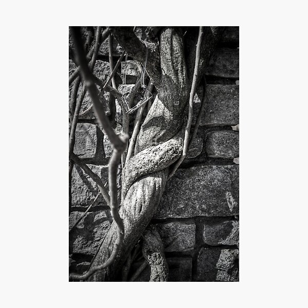 Item preview, The Serpent's Embrace designed and sold by Eric Scott Birdwhistell.