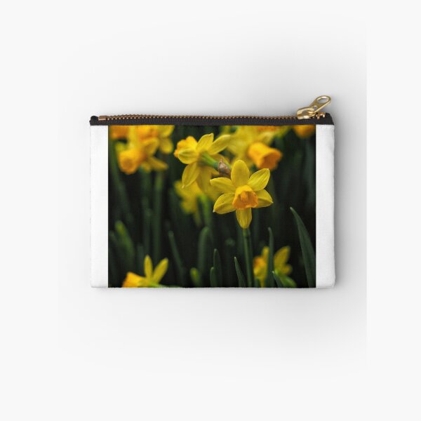 Item preview, Jolly Jonquils designed and sold by Karen E Camilleri.