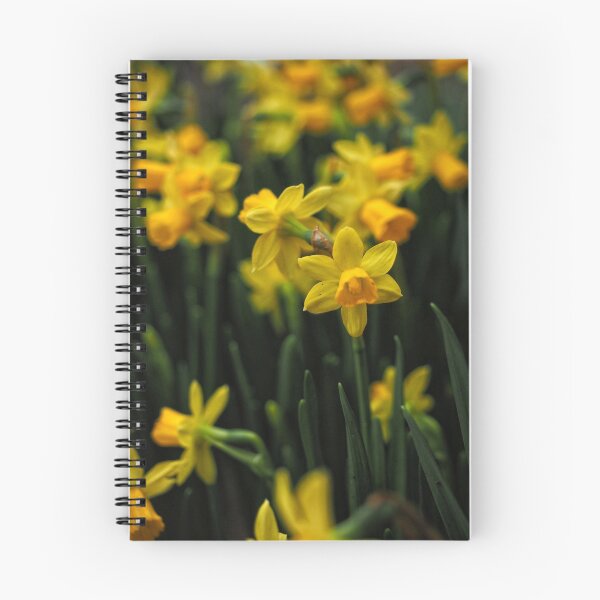 Item preview, Jolly Jonquils designed and sold by Karen E Camilleri.