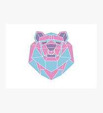 Geo Bear Photographic Print