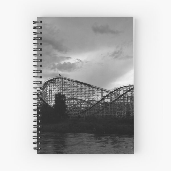Aperçu de l'œuvre Roller Coaster à Denver créée et vendue par Jackson Killion.