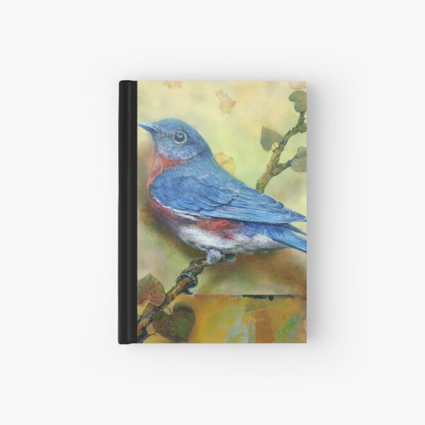 The Blue Boy Hardcover Journal