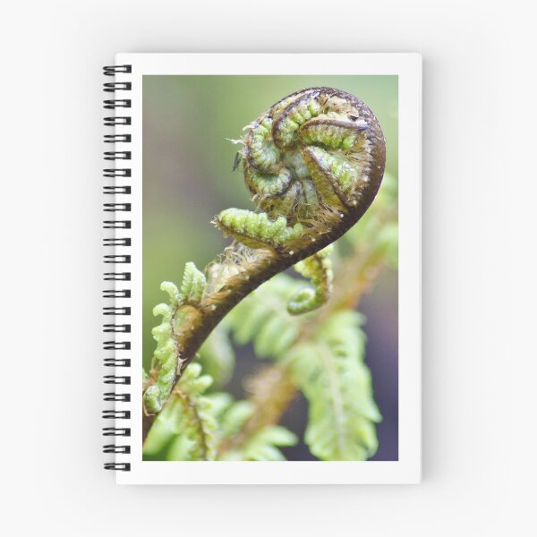 Item preview, New Zealand Silver Fern designed and sold by Feltonmackem.