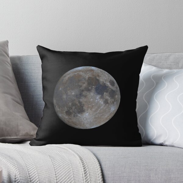 Moon Throw Pillow