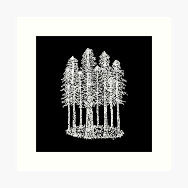 Coastal Redwoods Cathedral Ring Sketch - White Art Print