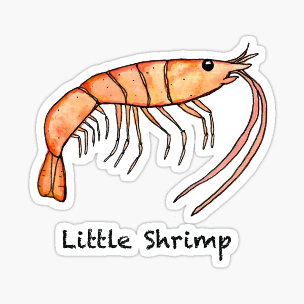 Shrimp Stickers Stanley Mini