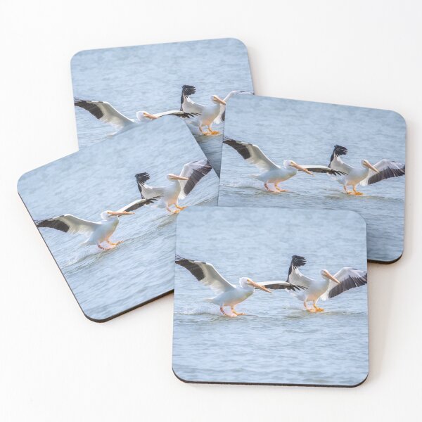 Item preview, American White Pelican Dual Landing designed and sold by Debra Martz.