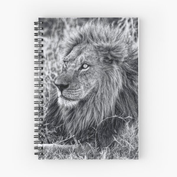Item preview, The Mighty Lion Has Fallen in Black and White designed and sold by Kay Brewer.