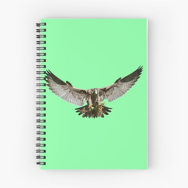 Item preview, Flying Falcon designed and sold by robspencer.