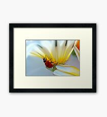 Pricilla Framed Print