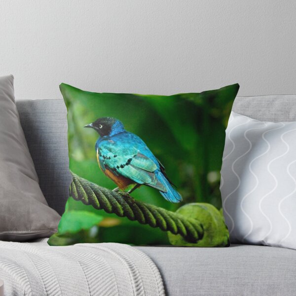 Item preview, Superb Starling designed and sold by IngeHG.