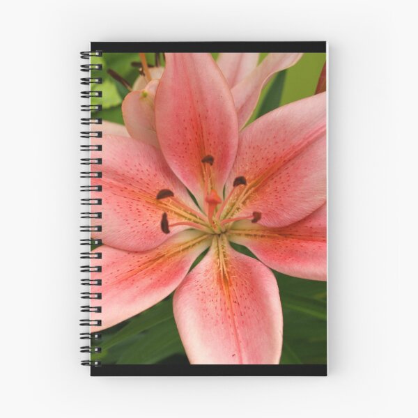 Item preview, Easter Lily  designed and sold by Cody  VanDyke.