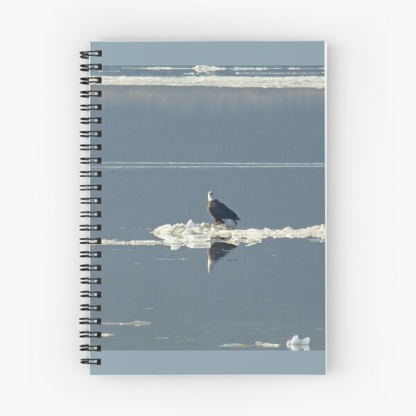 Item preview, Floating Eagle designed and sold by Peggy Feigenbaum.