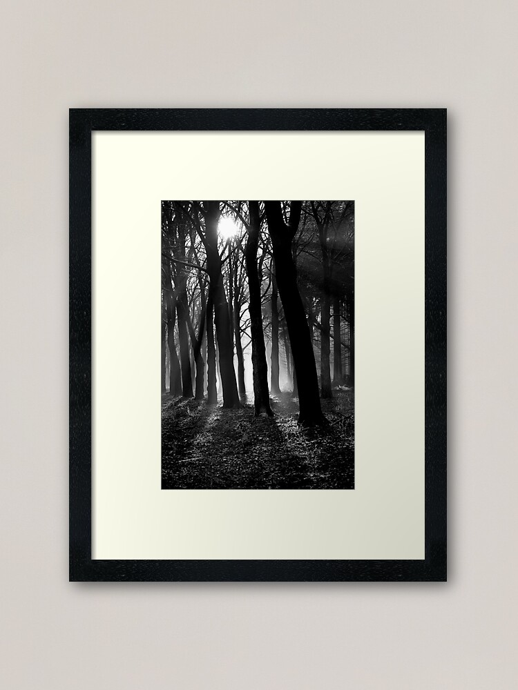 Alternate view of Light into the darkness Framed Art Print