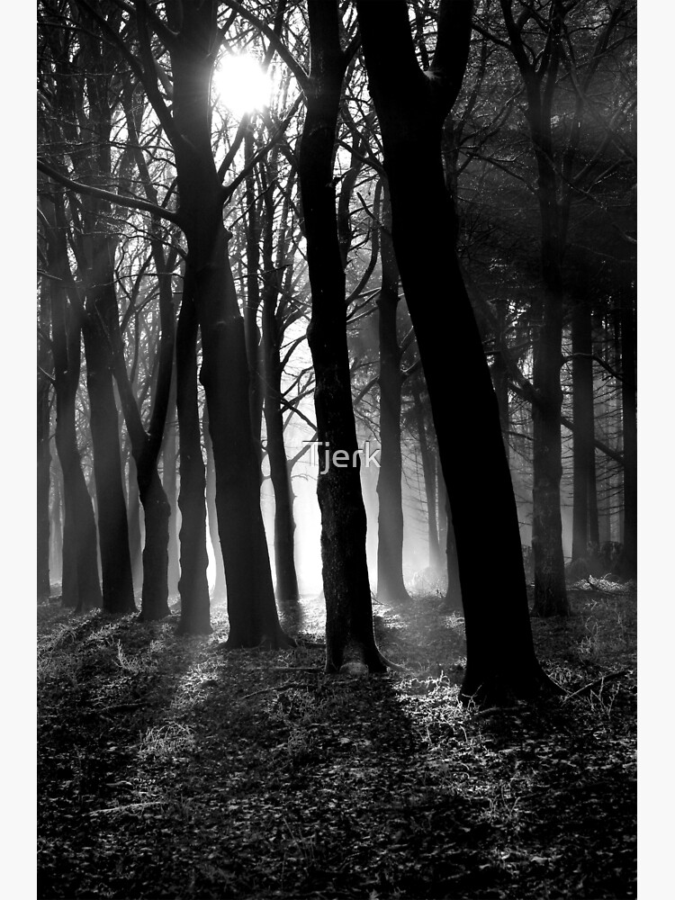 Light into the darkness by Tjerk