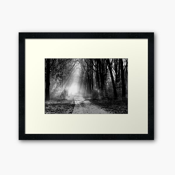 Angels Framed Art Print