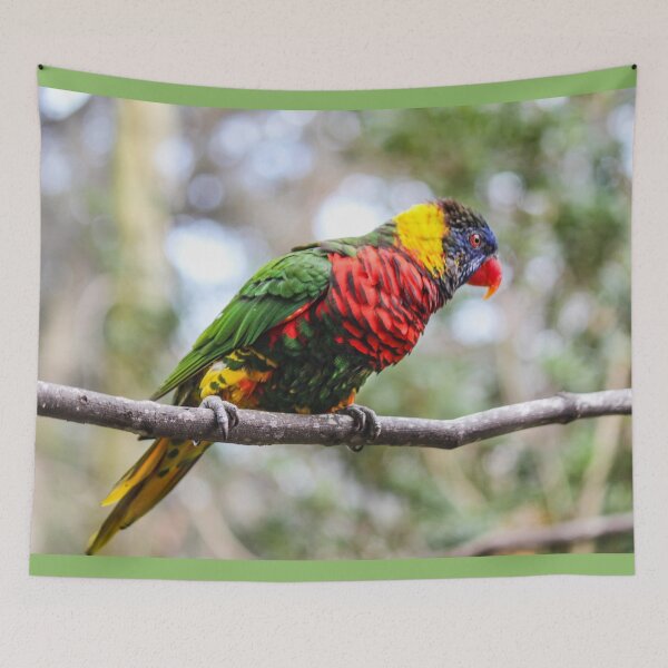 Item preview, Rainbowed Lorikeet designed and sold by Bob Hardy.