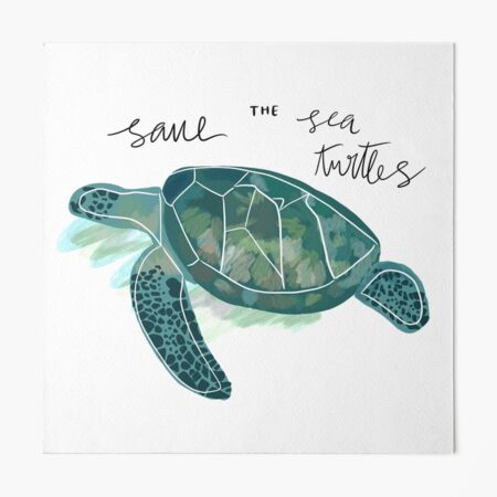 The Tortoise Linoleum Block Print / Turtle Nature Lovers / Nature Animal  Designs / Pet Portrait / Modern Wall Art / Desert Animal Series 