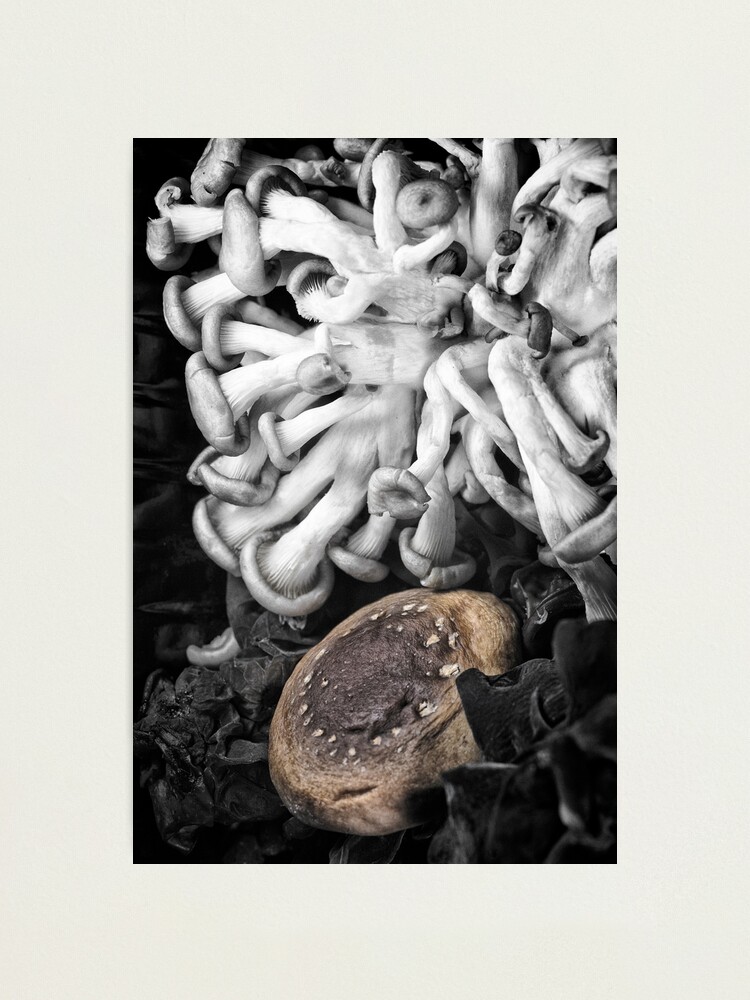Alternate view of Japanese Mushrooms Photographic Print