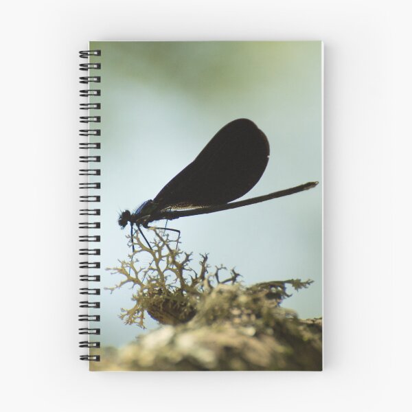 Item preview, Broad-winged damselfly designed and sold by LizardSpirit.