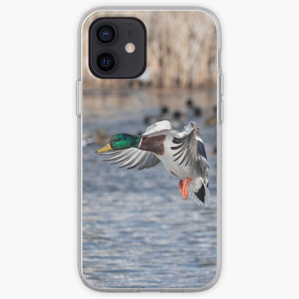 Drake Waterfowl iPhone cases & covers Redbubble