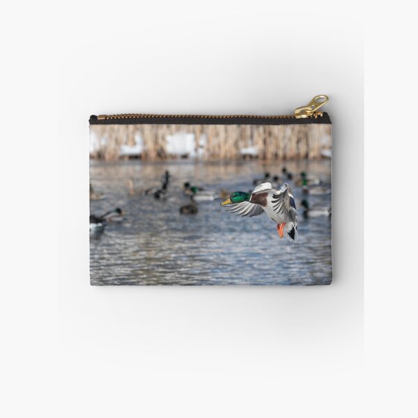 Item preview, Drake Mallard 2019-1 designed and sold by Thomasyoung.