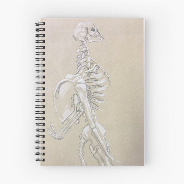 Item preview, Skeleton  designed and sold by beckrogers.