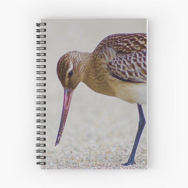 Item preview, SOME BIRDS HAVE SEXY LEGS designed and sold by NICK COBURN PHILLIPS.