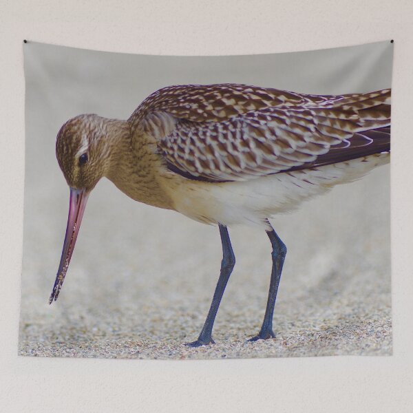 Item preview, SOME BIRDS HAVE SEXY LEGS designed and sold by NICK COBURN PHILLIPS.