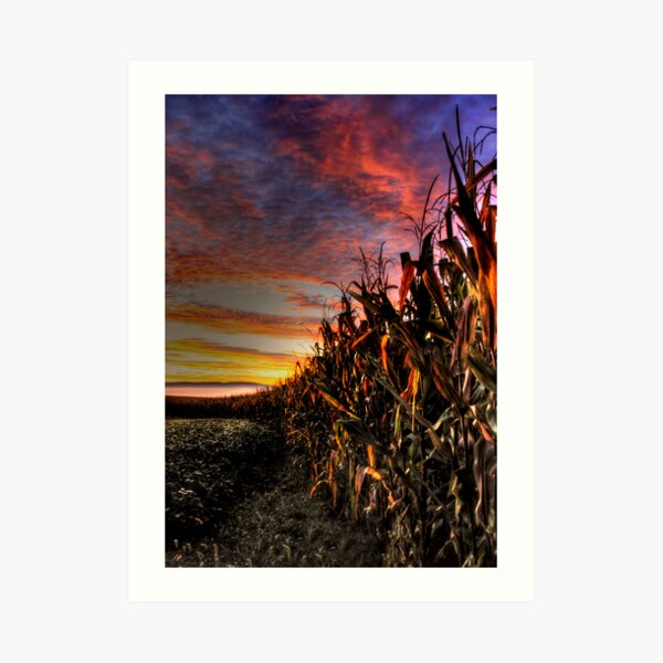 EARLY AUTUMN IN PENNSYLVANIA Art Print