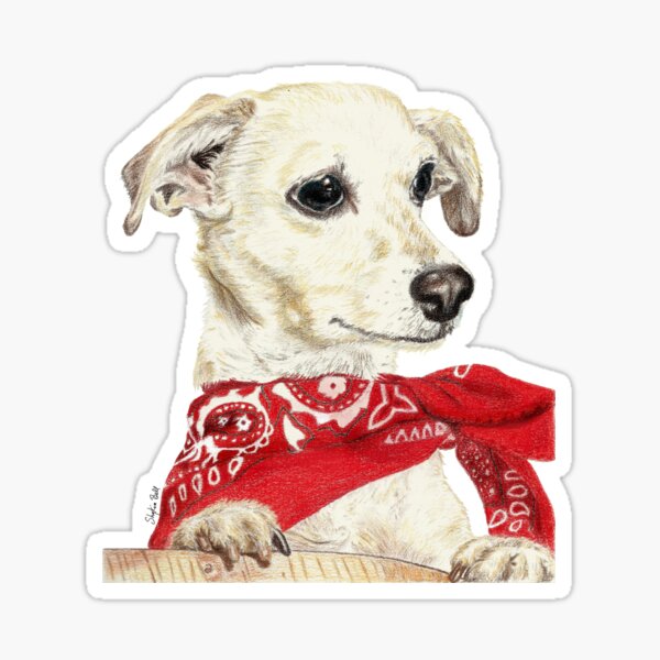 Cute Dog Sticker