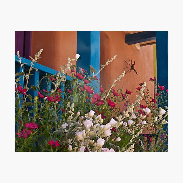Flowers in the Barrio Photographic Print