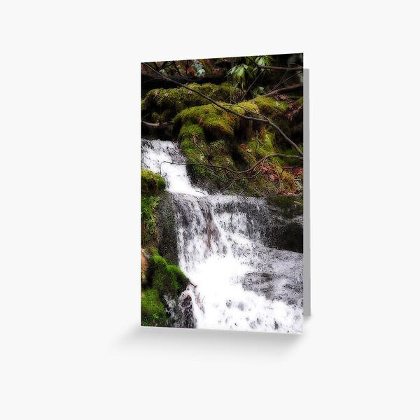 Water slide Greeting Card
