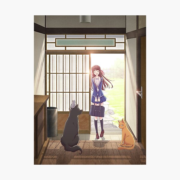 Fruits Basket Remake Photographic Print